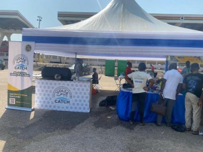 Volta Catch - Grilled tilapia @ Troppo