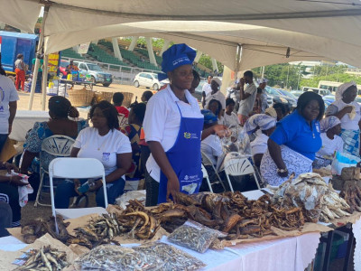 Dried and fermented fish